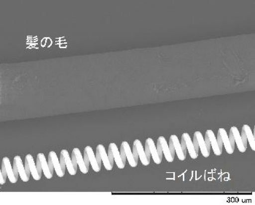 株式会社エルグ